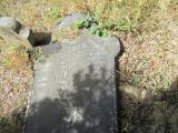 image of grave number 739524